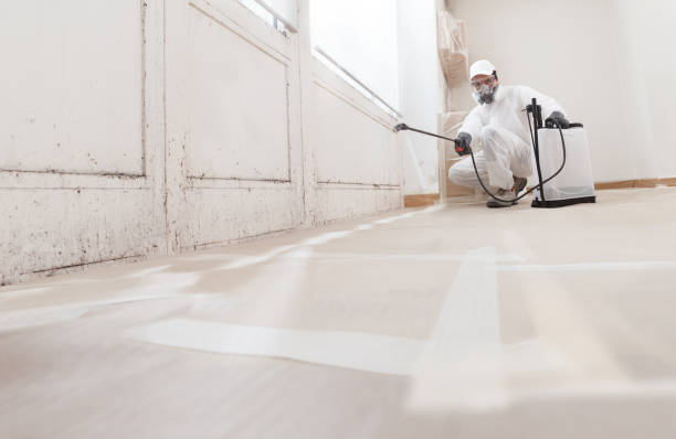 24/7 Emergency Basement Mold Removal experts in Downers Grove, IL